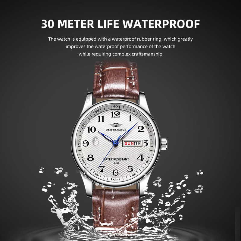 WLISTH Luxury Brand Men's Watc - Luxury Watch Mockup recension och pris